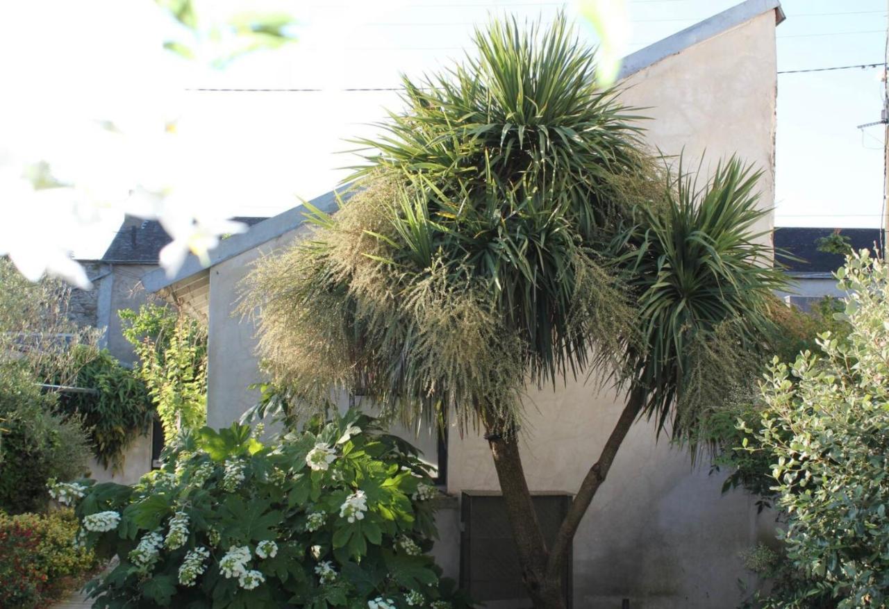 Duplex Confort Et Jardin Charmant Nantes Exterior photo